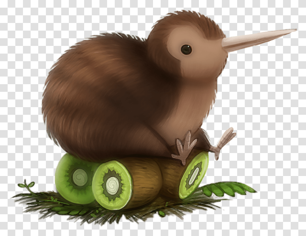 Kiwi Bird Cute Cartoon Kiwi Bird, Animal, Beak, Toy Transparent Png