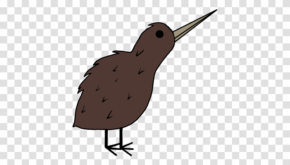 Kiwi Bird Illustration, Animal, Mammal Transparent Png