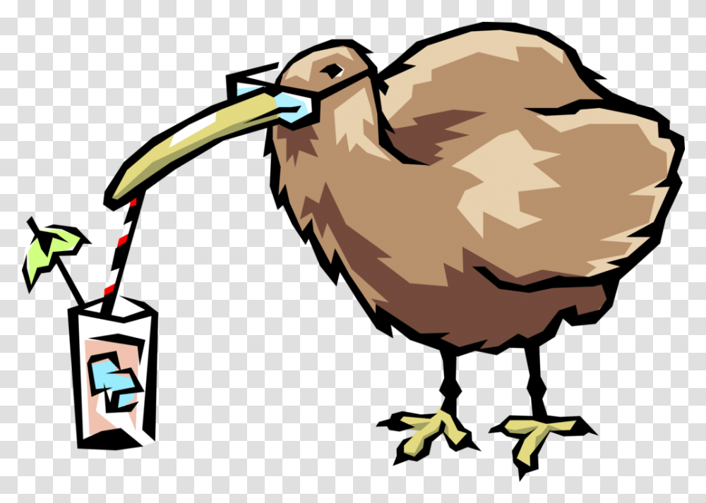 Kiwi Bird Kiwi Bird Clipart Cute Kiwi Clip Art, Animal, Beak Transparent Png
