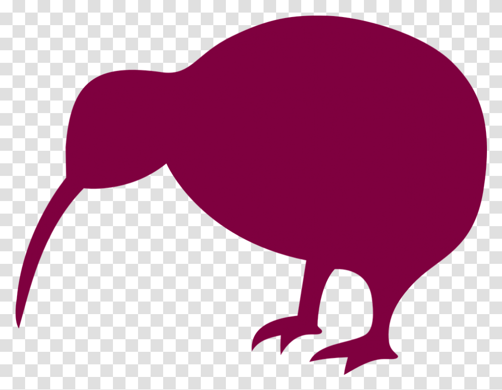 Kiwi Bird New Zealand Free Vector Graphic On Pixabay Kiwi Bird Silhouette, Animal, Balloon, Mammal, Wildlife Transparent Png