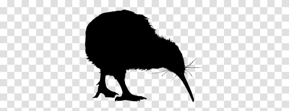 Kiwi Birds Images Flightless Bird, Animal, Mammal, Silhouette, Wildlife Transparent Png