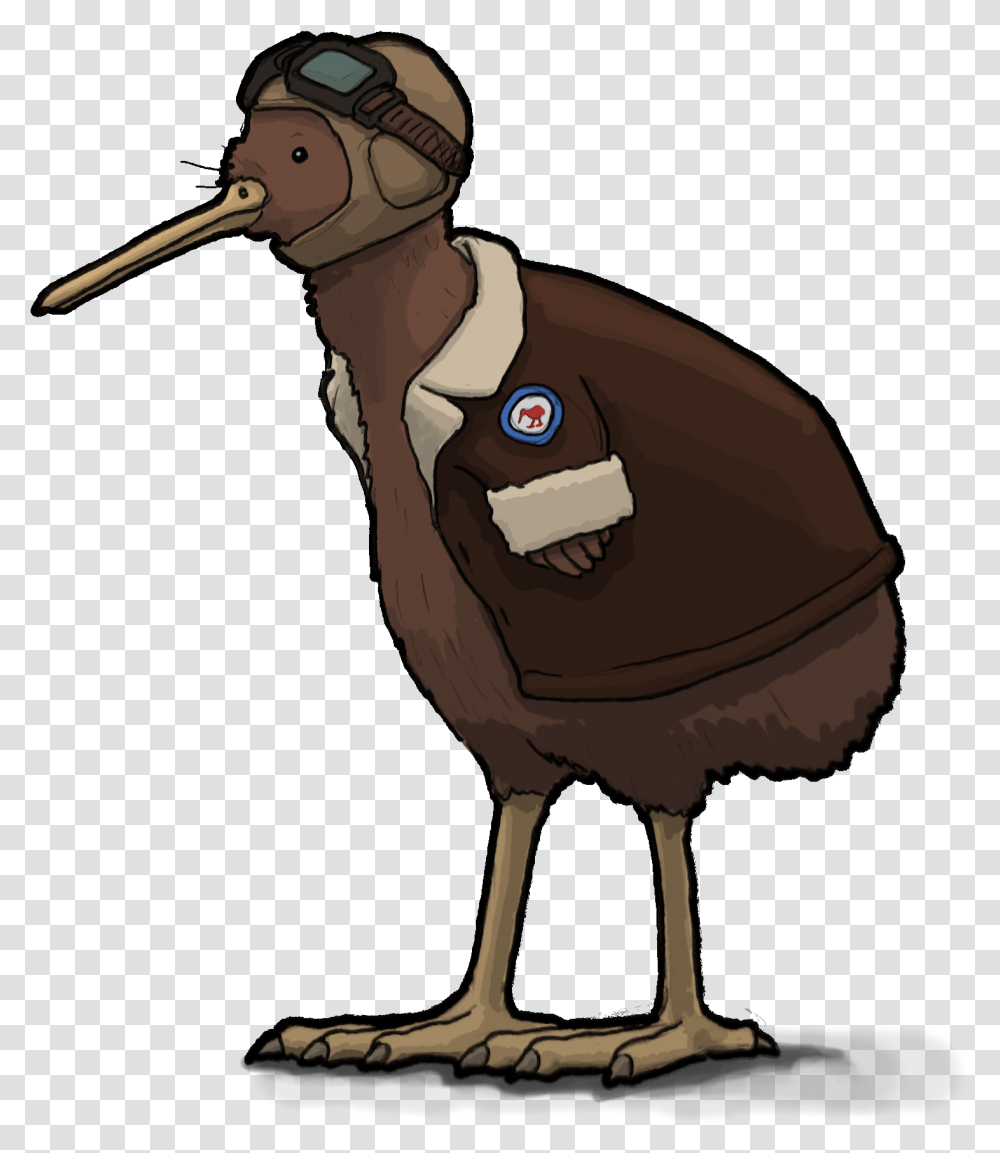 Kiwi Clipart Flightless Bird Picture Kiwi, Animal, Dodo, Beak, Helmet Transparent Png