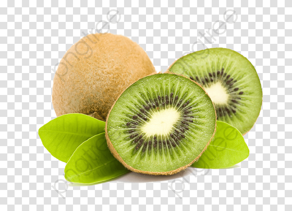 Kiwi Clipart High Resolution Kiwifruit, Plant, Food, Fungus Transparent Png