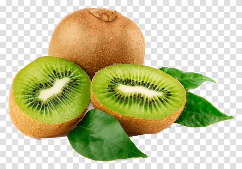 Kiwi Free Download Kiwi Fruit, Plant, Food, Fungus, Sliced Transparent Png