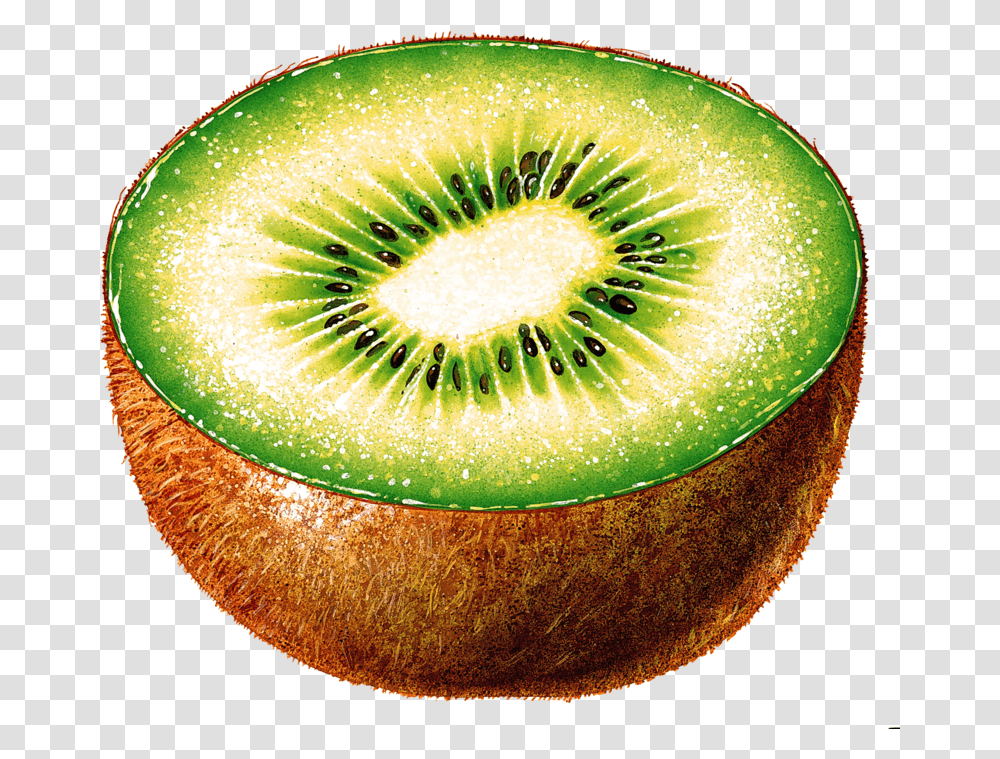 Kiwi Fruit Background Pictures Kiwi Cut In Half, Plant, Food Transparent Png