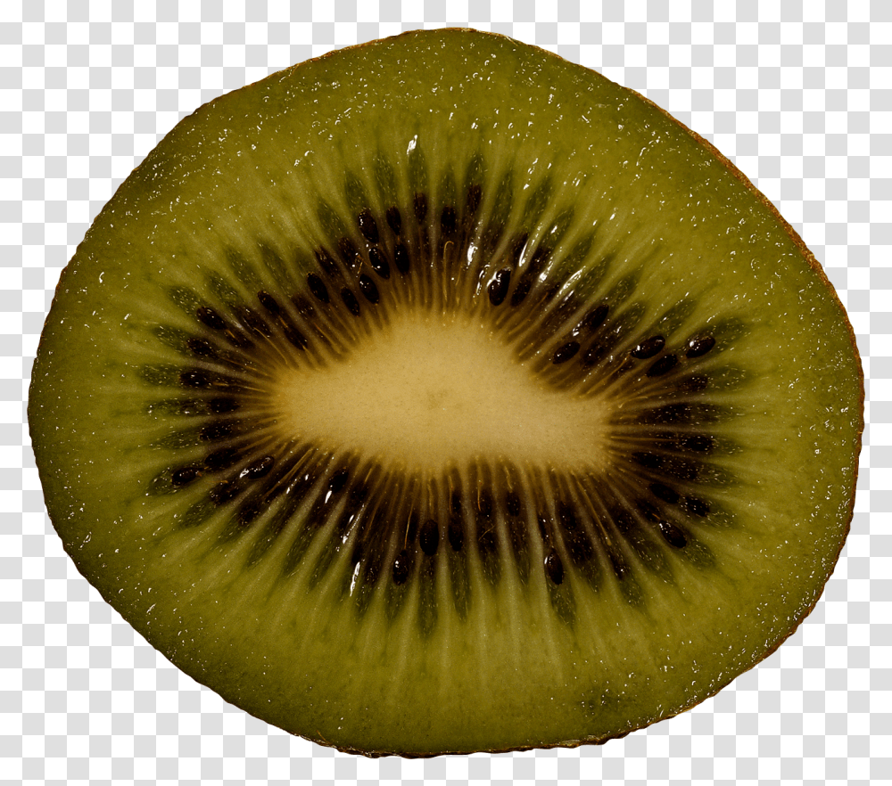 Kiwi, Fruit, Plant, Food, Fungus Transparent Png
