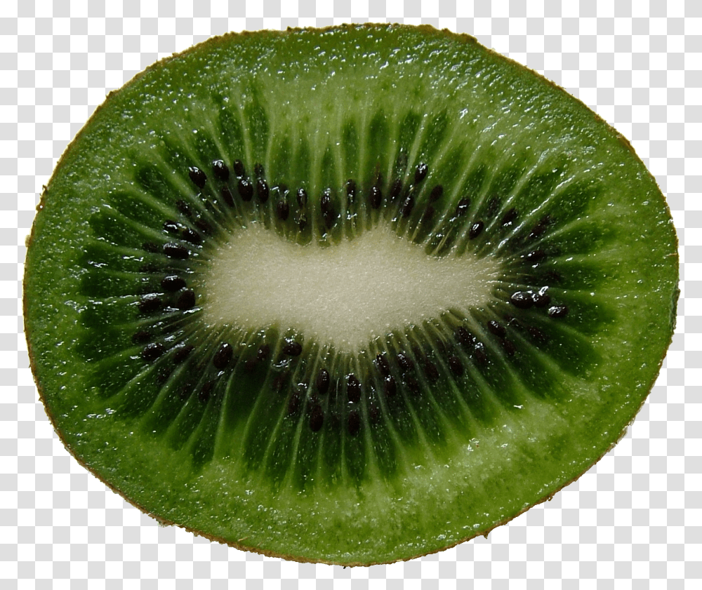 Kiwi Image For Free Download Kiwifruit, Plant, Food, Sliced Transparent Png