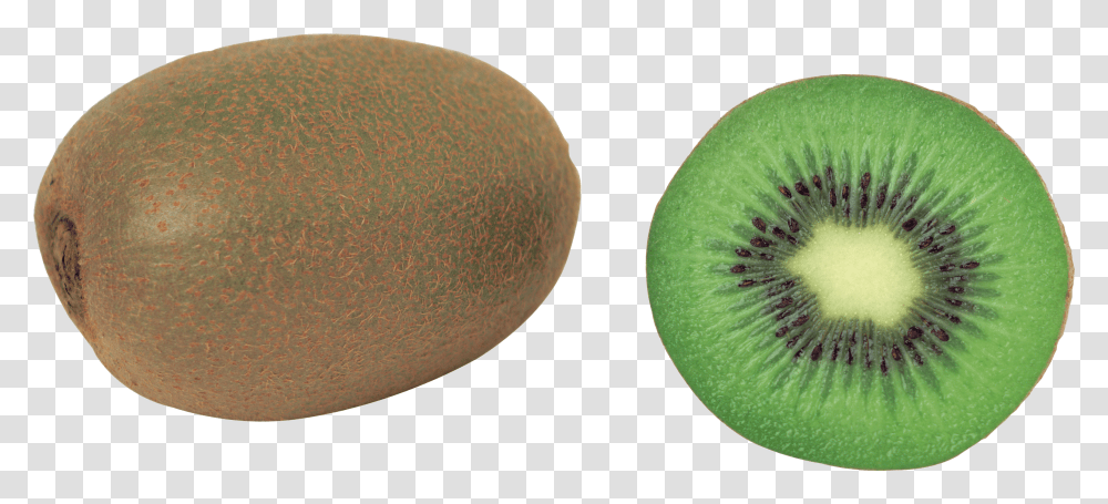 Kiwi Image Kiwi Fruit Clipart Transparent Png