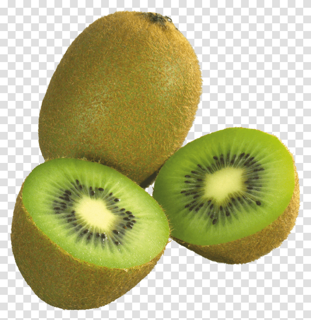 Kiwi In High Resolution Web Icons Kiwi Fruit Images Download Transparent Png