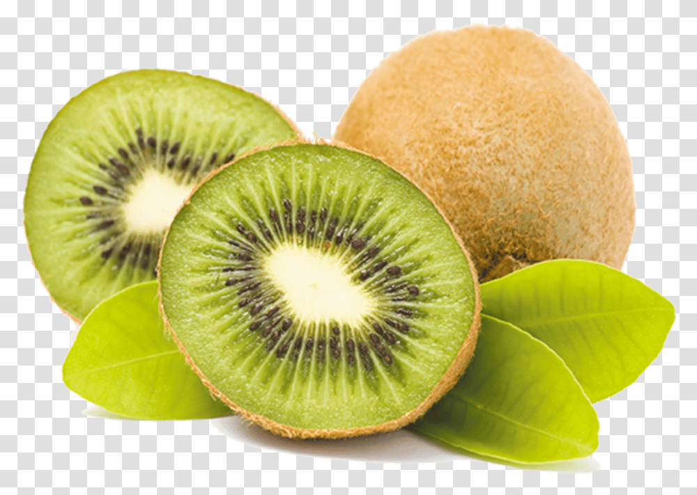 Kiwi Kiwi Fruit, Plant, Food, Sliced, Fungus Transparent Png