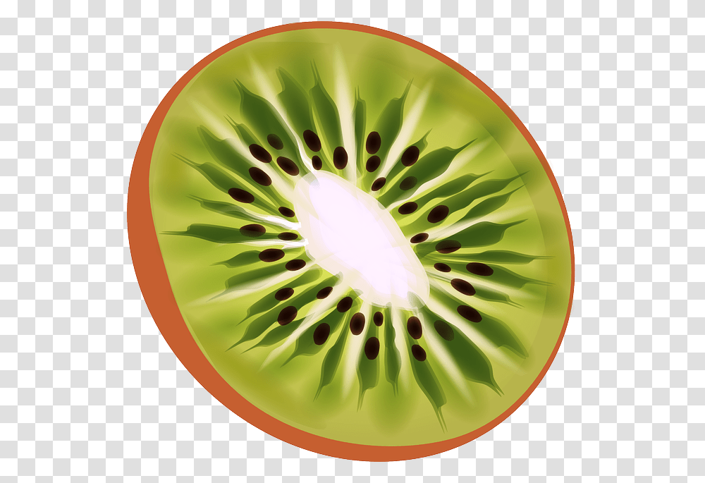 Kiwi, Plant, Fruit, Food, Sliced Transparent Png