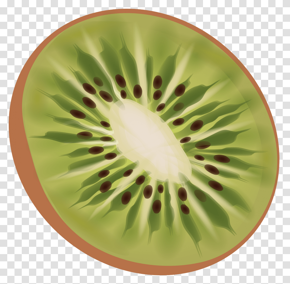 Kiwi, Plant, Sliced, Food, Fruit Transparent Png