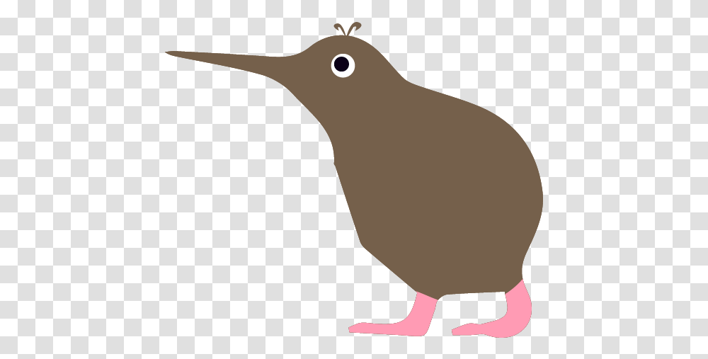 Kiwi Sisi Yu Hummingbird, Beak, Animal, Kiwi Bird, Person Transparent Png