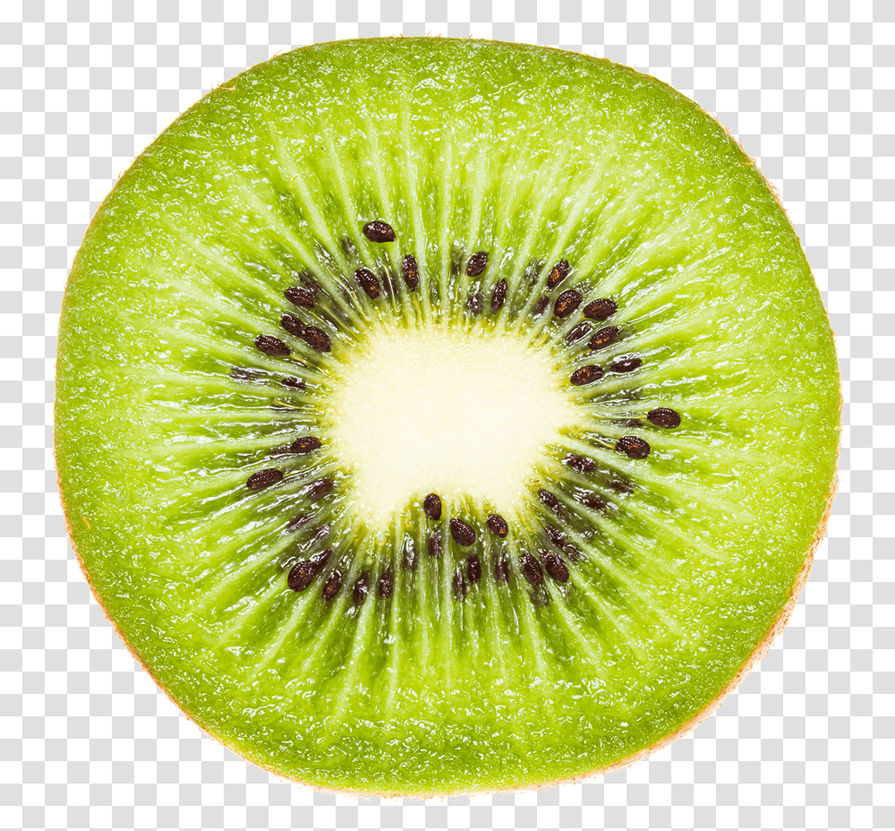 Kiwifruit Actinidia Deliciosa Hardy Kiwi Vegetable Rondelle Kiwi, Plant, Food, Sliced Transparent Png