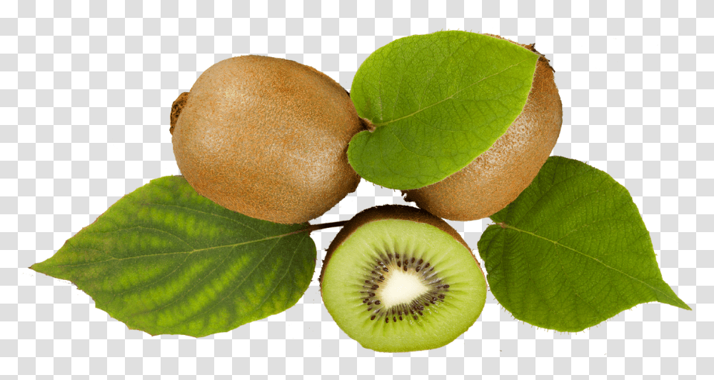 Kiwifruit, Plant, Food, Bread Transparent Png