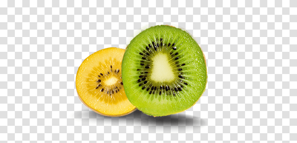 Kiwifruit Post Harvest Capability Apata Group Limited Green And Gold Kiwi, Plant, Food, Sliced Transparent Png