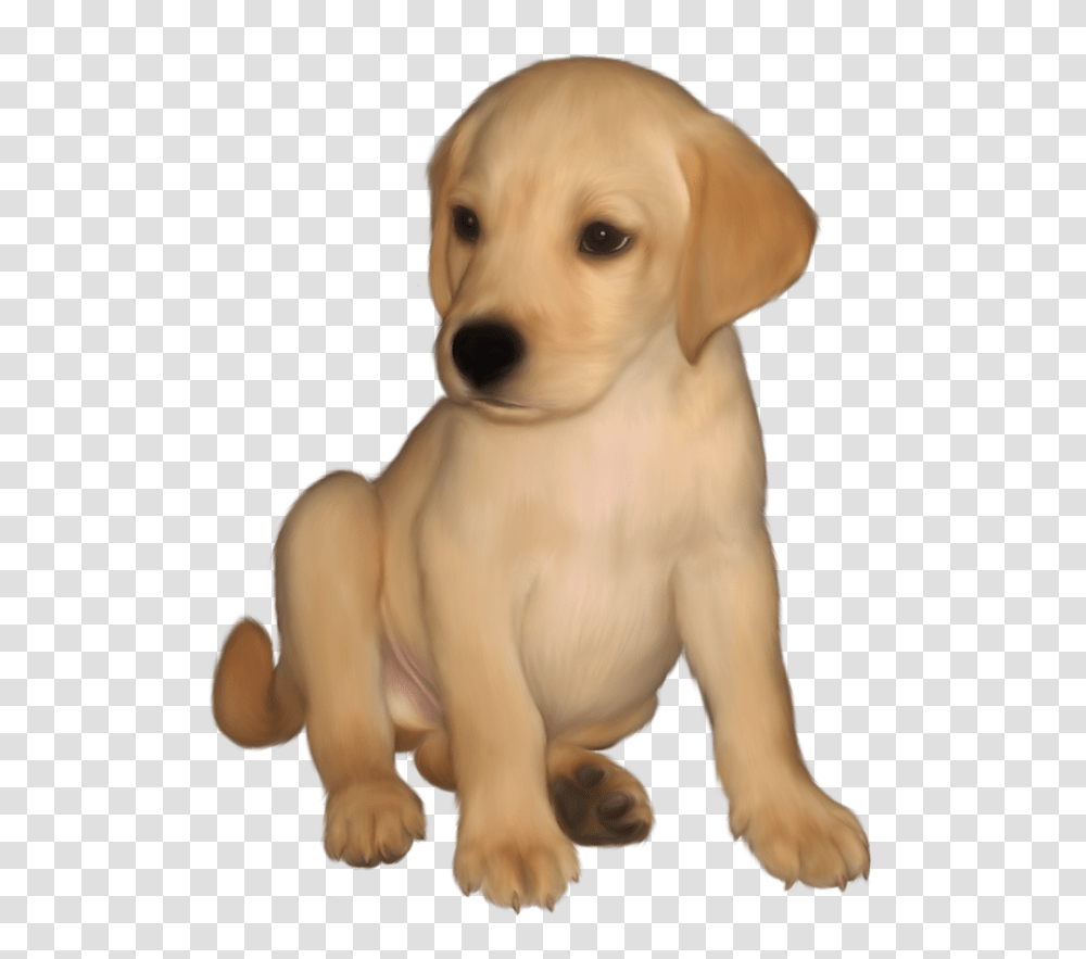 Klipart Labrador Labrador, Golden Retriever, Dog, Pet, Canine Transparent Png