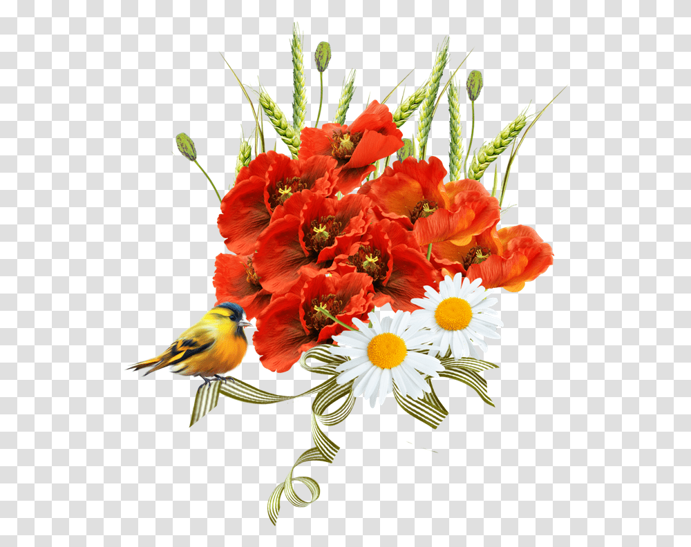 Klipart Maki Na Prozrachnom Fone, Plant, Flower, Blossom, Flower Arrangement Transparent Png