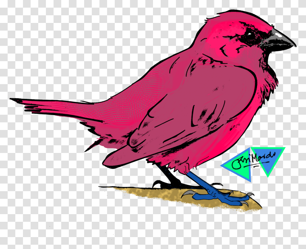 Km Toons Pink Sparrow Pink Sparrow, Finch, Bird, Animal, Beak Transparent Png