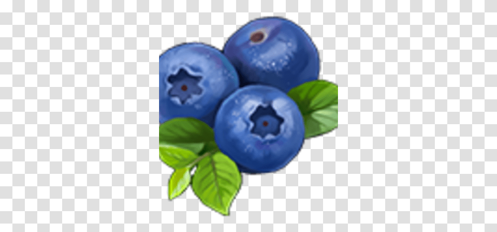 Knights And Brides Wiki Bilberry, Blueberry, Fruit, Plant, Food Transparent Png
