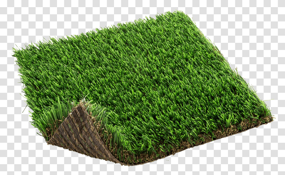 Knitting, Moss, Plant, Grass, Hedge Transparent Png