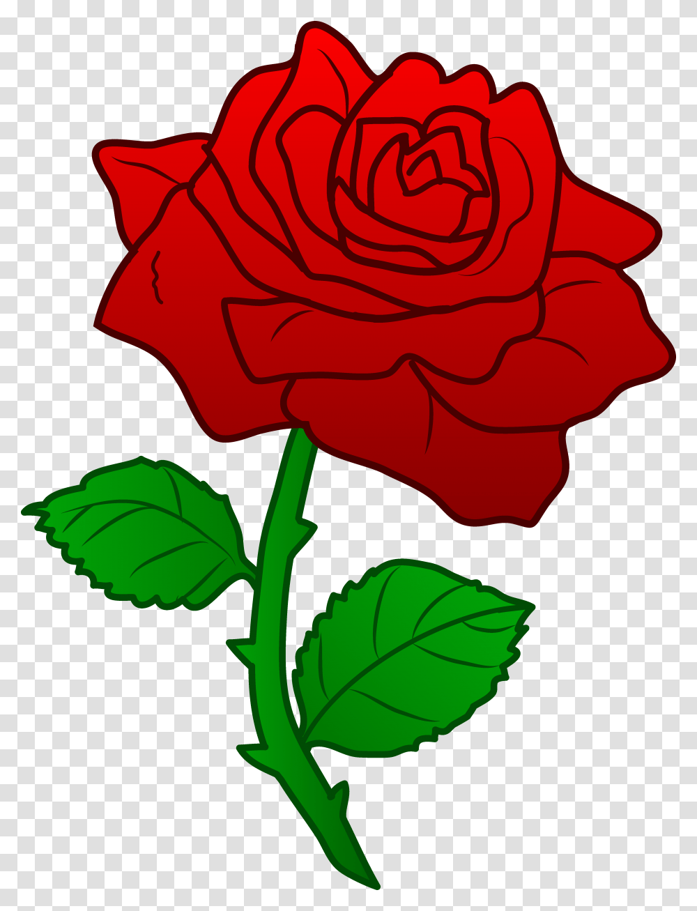 Knockout Clipart Spring Flowers Labour Party, Rose, Plant, Blossom, Petal Transparent Png