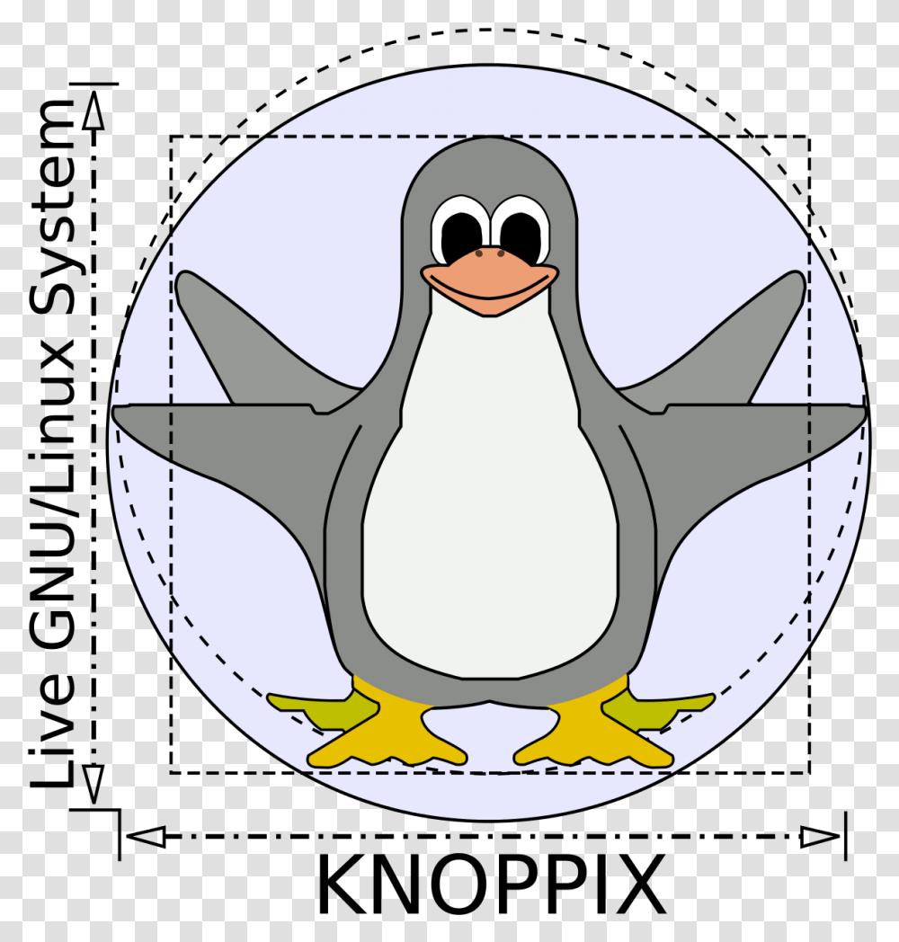 Knoppix Linux Logo, Bird, Animal, Penguin, King Penguin Transparent Png