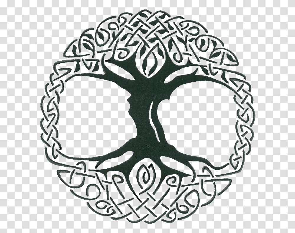 Knot Celts Sacred Trees Celtic Tree Of Life Vector Transparent Png