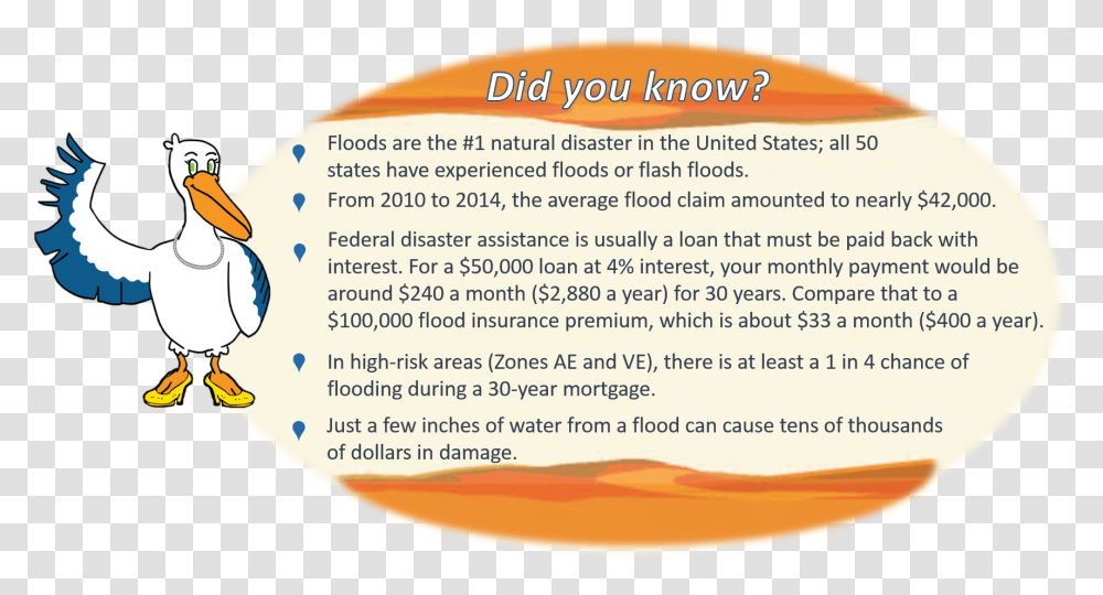 Know Your Flood Risk Pelican, Flyer, Poster, Paper, Advertisement Transparent Png