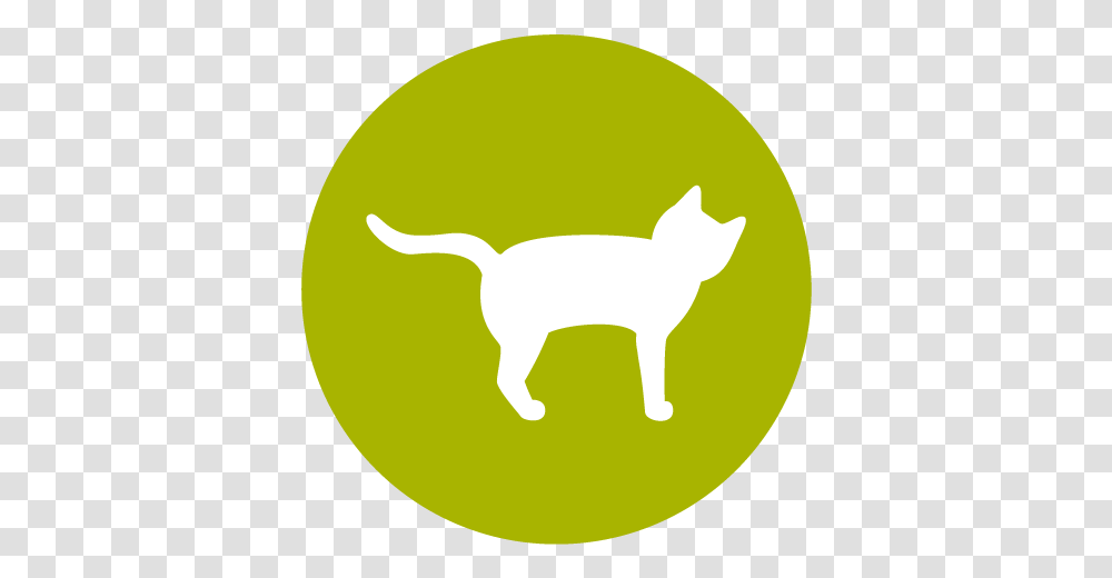 Know Your Pet Cat, Tennis Ball, Animal, Mammal, Dog Transparent Png