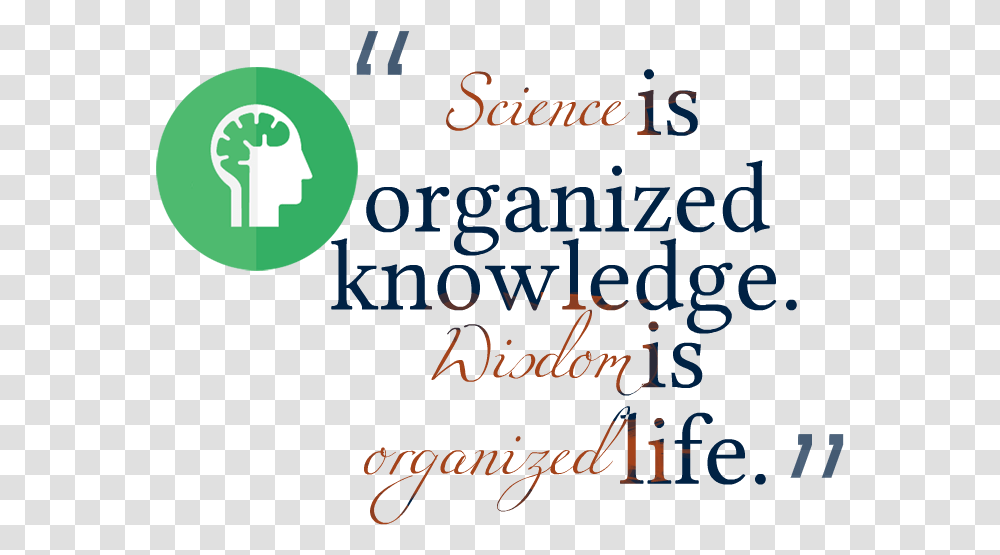 Knowledge Quotes Free Image Calligraphy, Alphabet, Poster, Advertisement Transparent Png