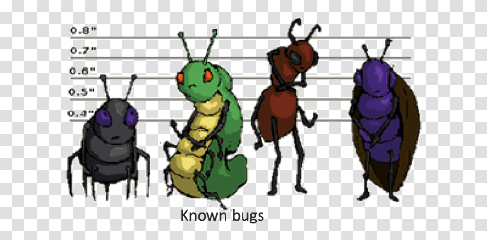 Known Bugs, Animal, Invertebrate, Insect, Wasp Transparent Png