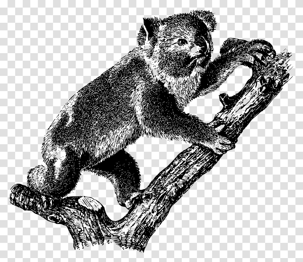 Koala 2 Clip Arts Arboreal Animals Black And White, Gray, World Of Warcraft Transparent Png