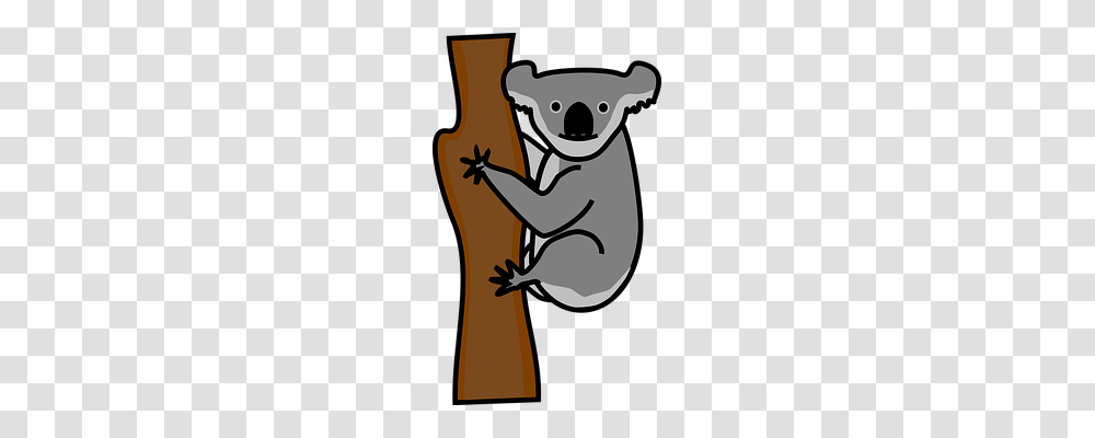 Koala Animals, Mammal, Wildlife, Lesser Panda Transparent Png