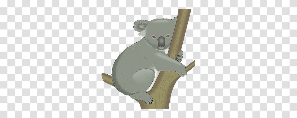 Koala Animals, Mammal, Wildlife, Snowman Transparent Png