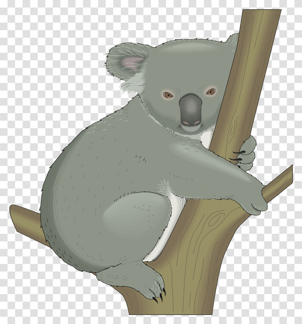 Koala Australia Tree Koala In A Tree Clipart, Wildlife, Animal, Mammal, Snowman Transparent Png
