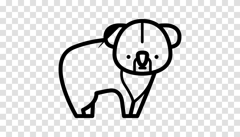 Koala Icon, Gray, World Of Warcraft Transparent Png