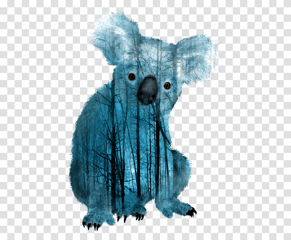 Koalas Clipart Background Koala, Animal, Sea Life, Invertebrate, Bear Transparent Png