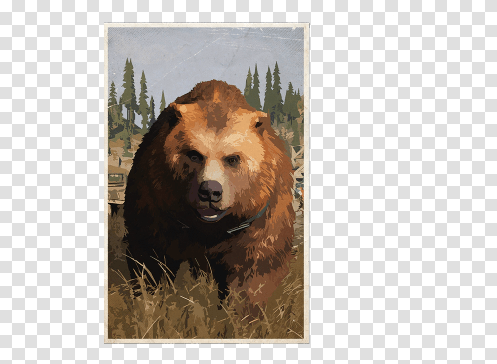 Kodiak Bear, Mammal, Animal, Brown Bear, Wildlife Transparent Png