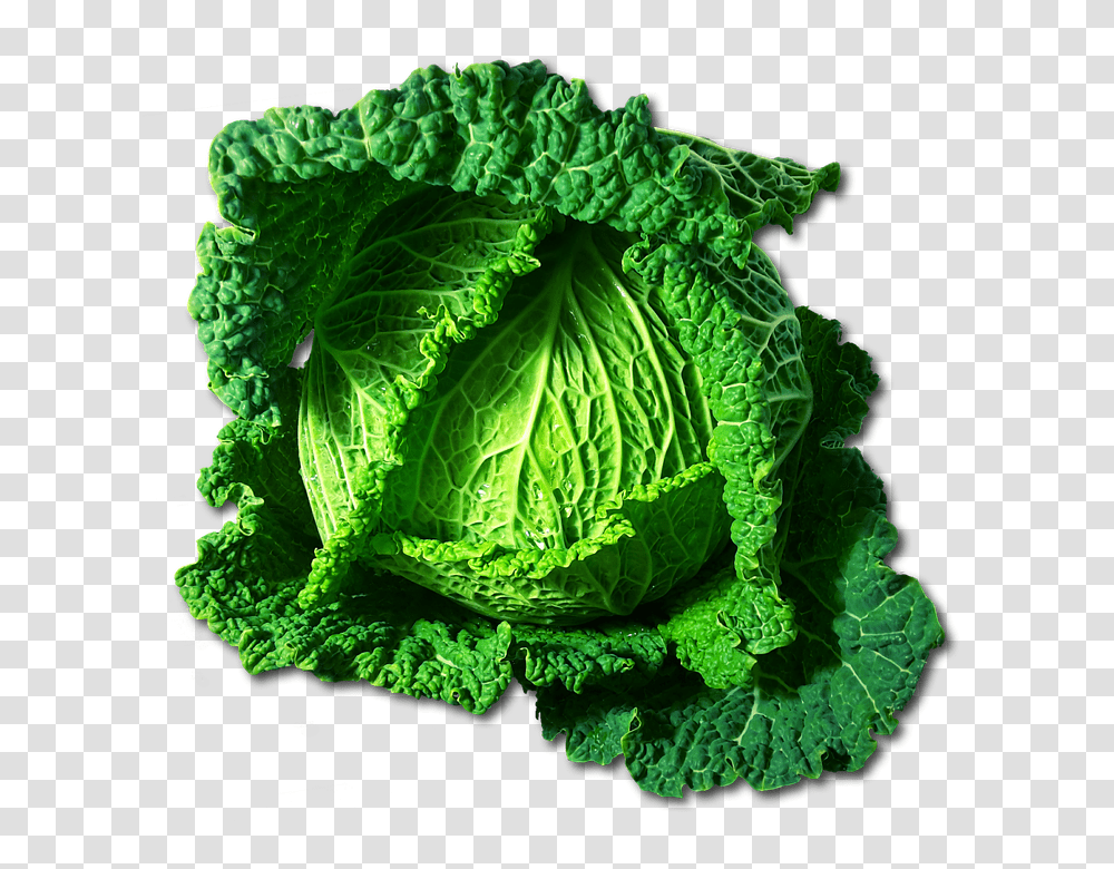 Kohl 960, Vegetable, Plant, Cabbage, Food Transparent Png