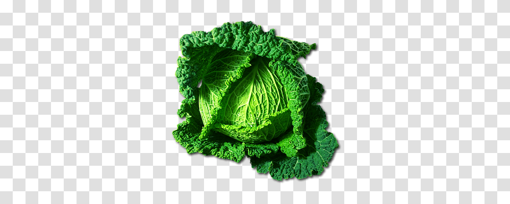 Kohl Food, Plant, Cabbage, Vegetable Transparent Png