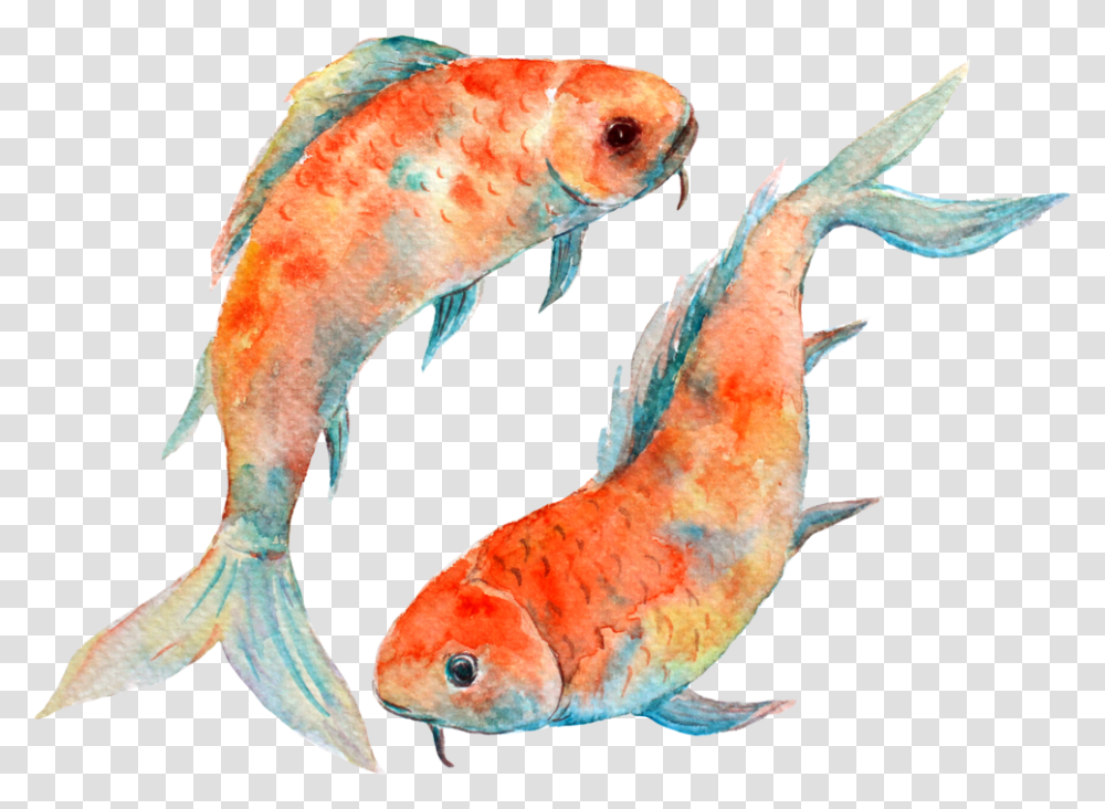 Koi 6 Format Astrology Zodiac Signs Animals, Fish, Goldfish, Carp, Aquatic Transparent Png