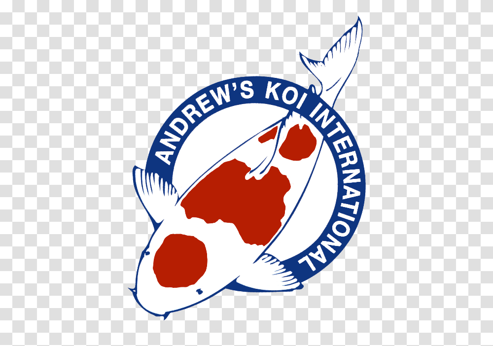 Koi, Animal, Fish, Poster, Advertisement Transparent Png