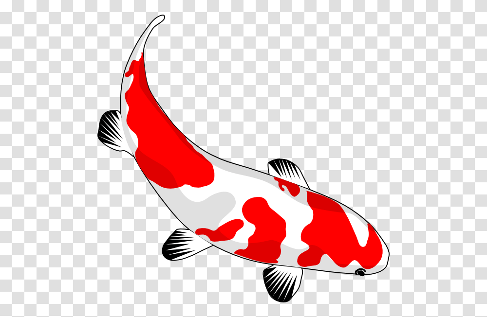 Koi Clipart Cartoon, Fish, Animal, Carp, Ketchup Transparent Png