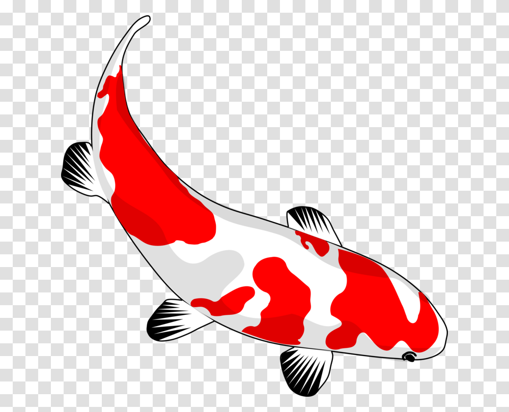 Koi Drawing Carp Fish Pond, Animal, Bird Transparent Png