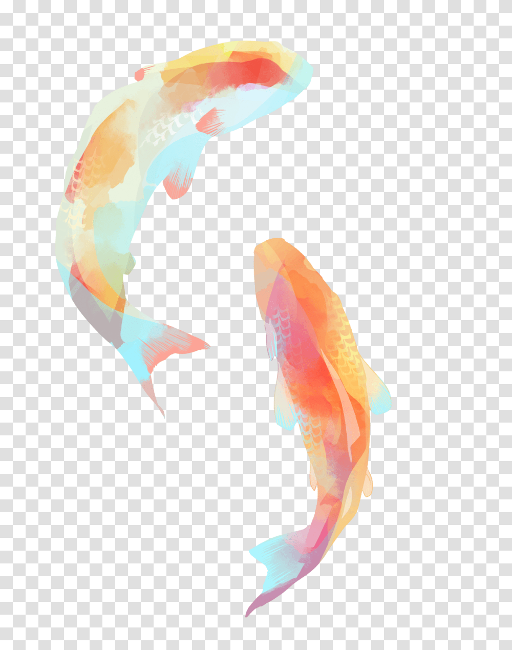 Koi Fish Art Illustration Art Watercolor And Koi, Goldfish, Animal Transparent Png