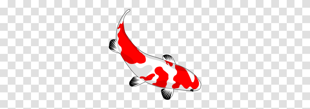 Koi Fish Clipart, Carp, Animal Transparent Png