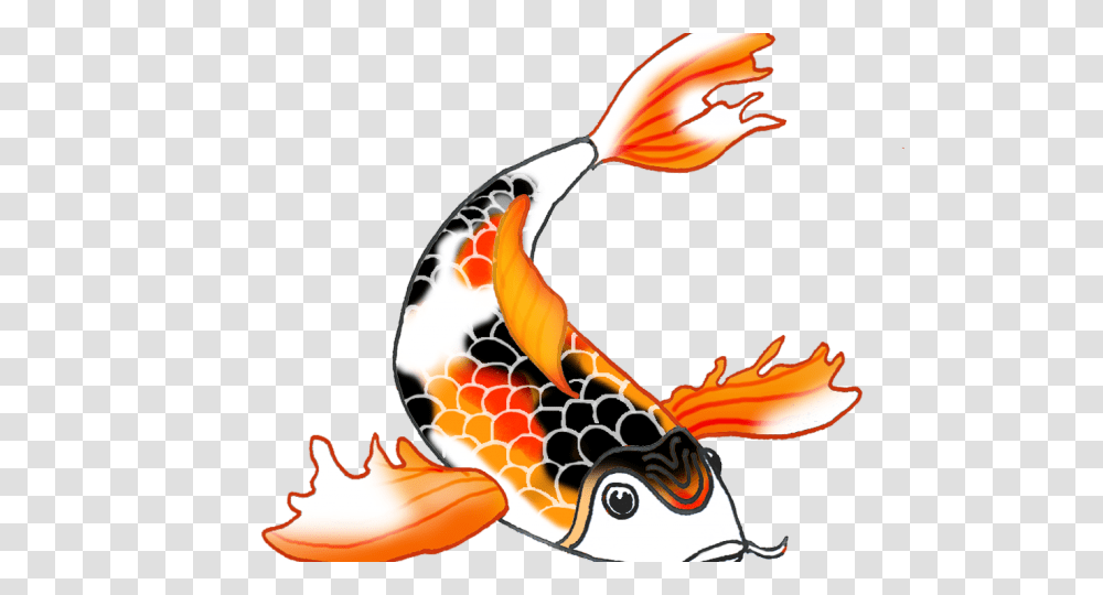 Koi Fish Clipart Draw In Color, Animal, Carp, Sea Life, Food Transparent Png