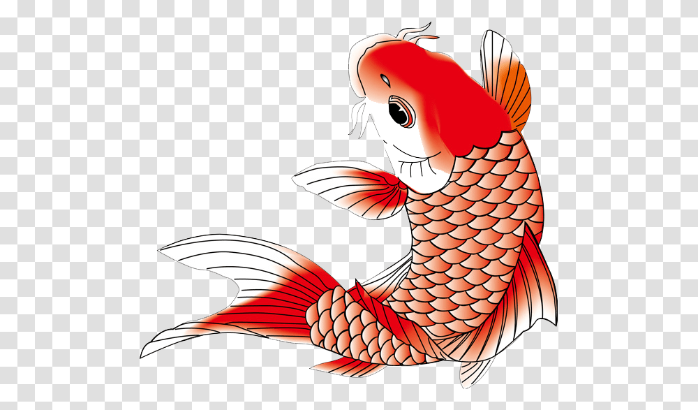Koi Koifish Fish Chinese Japanese Asian Ftestickers, Animal, Carp, Goldfish, Bird Transparent Png