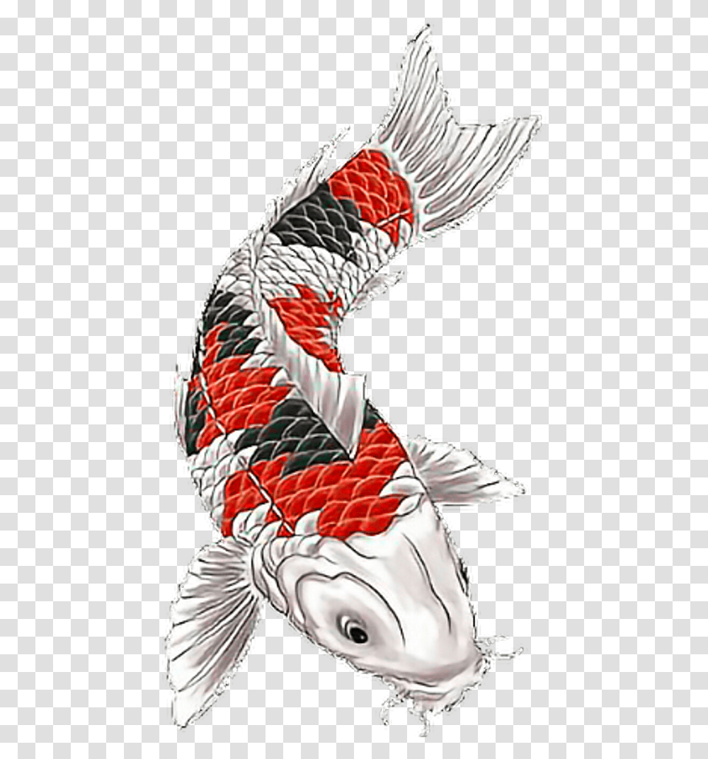 Koi Koitattoo Fish Fishtattoo Fisch Japanesetattoo Koi Fish Tattoo Design, Animal, Person, Human, Carp Transparent Png